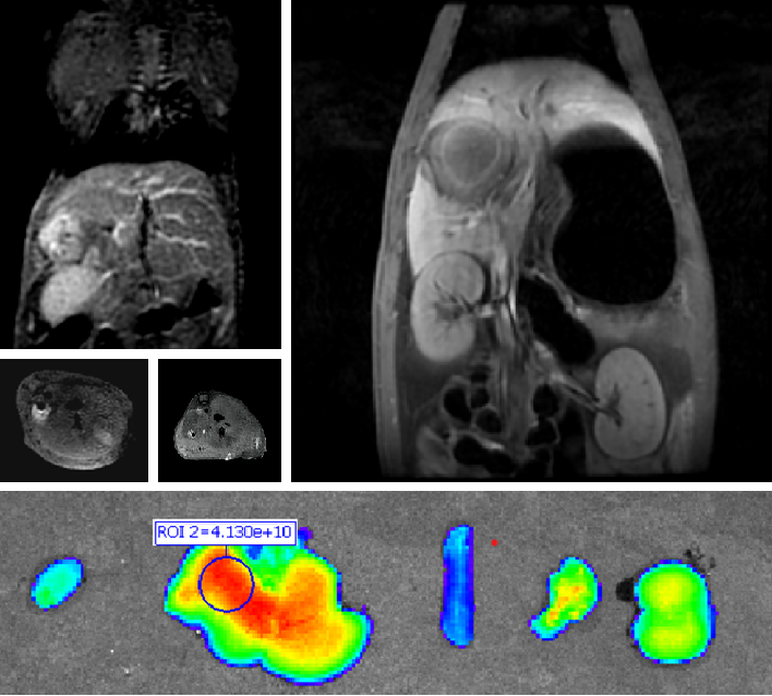 640 (13).png 640 (13).png